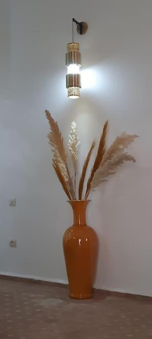 Riad Cosy مراكش المظهر الخارجي الصورة